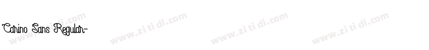 Carino Sans Regular字体转换